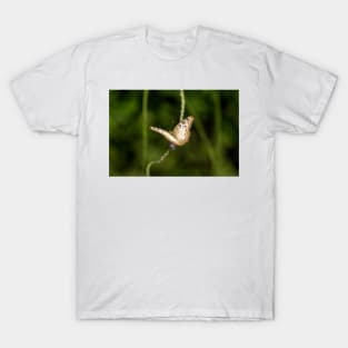 oli butterfly 1 T-Shirt